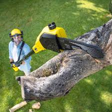 Best Tree Removal  in Hiram, GA